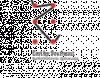 EBSElogo